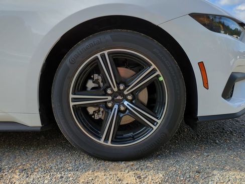 Used 2025 Ford Mustang Coupe RWD image 14