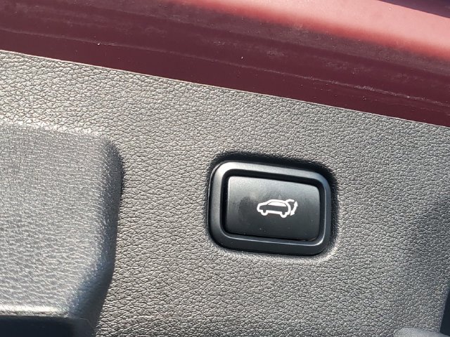 Certified 2024 Kia Sportage X-Line w/ X-Line Premium Package AWD/4WD image 8