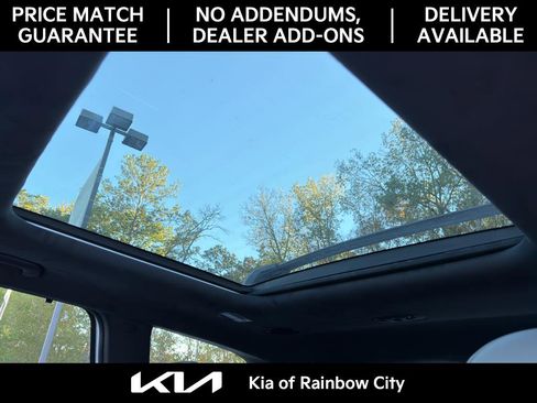 Used 2024 Kia Telluride SX Prestige X-Pro image 15