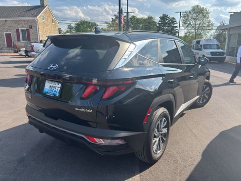 Used 2024 Hyundai Tucson Blue image 5