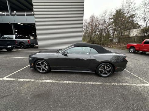 Used 2024 Ford Mustang Premium image 7