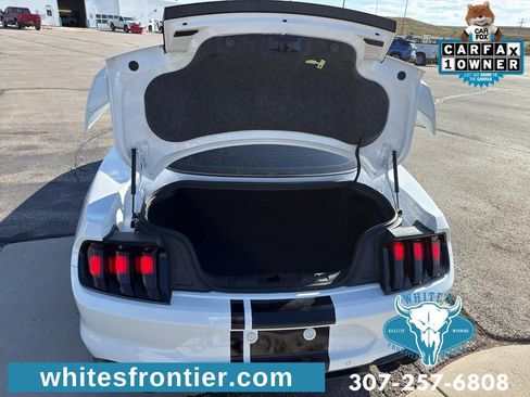 Used 2021 Ford Mustang GT Premium w/ GT Performance Package RWD image 12
