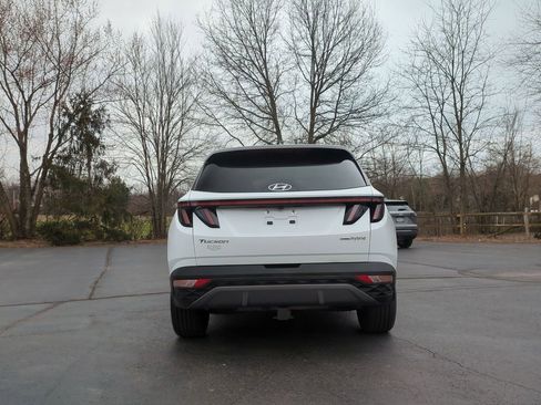Used 2022 Hyundai Tucson Limited image 6