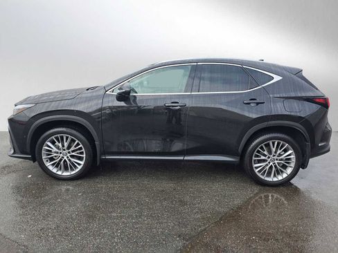 Certified 2025 Lexus NX 300h AWD w/ Luxury Package image 6