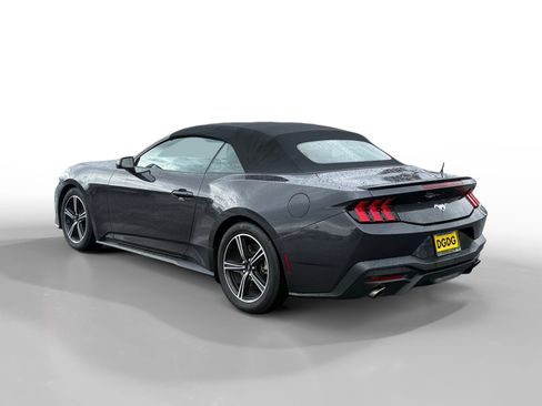 Used 2024 Ford Mustang Premium image 3