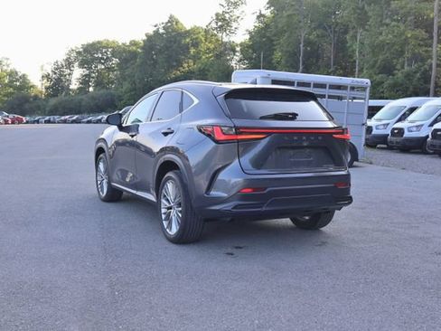 Used 2025 Lexus NX 350 AWD w/ Rear Seat Package image 5