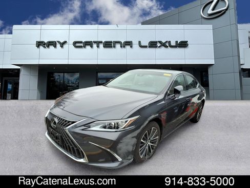 Certified 2023 Lexus ES 250 w/ Premium Package image 1