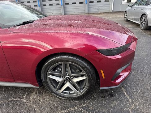 New 2026 Ford Mustang Coupe image 2