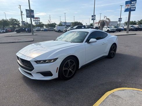 Used 2024 Ford Mustang Coupe RWD image 1