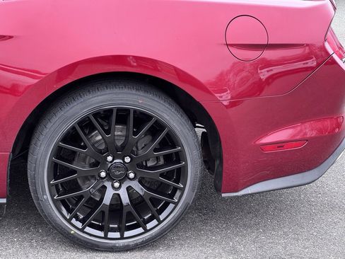 Used 2019 Ford Mustang Premium w/ Equipment Group 201A image 32