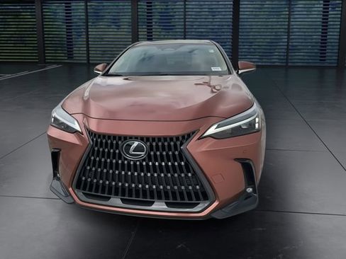 Used 2025 Lexus NX 250 FWD w/ Cold Area Package image 3