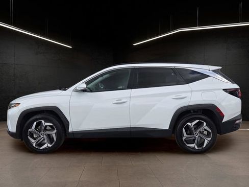 Used 2024 Hyundai Tucson Limited AWD/4WD image 4