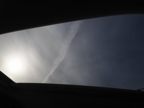 New 2026 Kia Carnival SX image 12