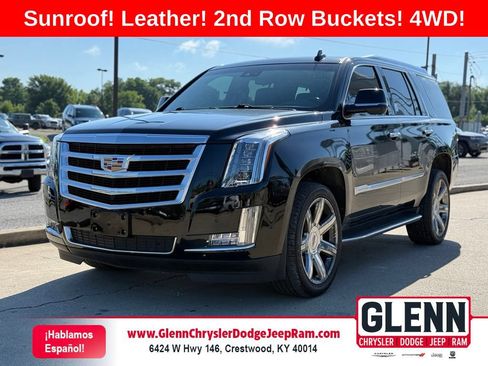 Used 2019 Cadillac Escalade Luxury AWD/4WD image 1