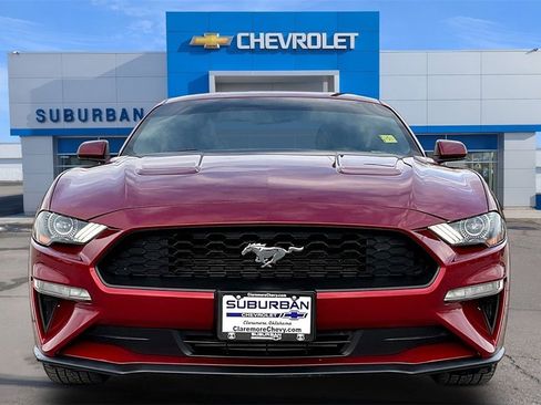 Used 2019 Ford Mustang Coupe w/ Ecoboost Performance Package image 3