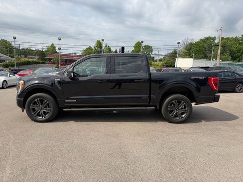 Used 2023 Ford F150 XLT w/ Equipment Group 302A High AWD/4WD image 10