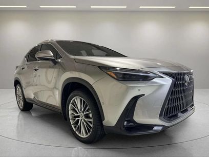 Used 2025 Lexus NX 350h AWD w/ Accessory Package (2T)