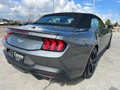 Used 2025 Ford Mustang Premium RWD image 5