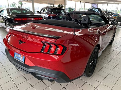 Used 2024 Ford Mustang Convertible w/ Mustang Nite Pony Package RWD image 5