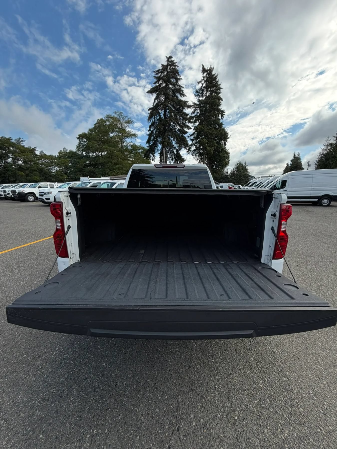 Used 2020 Chevrolet Silverado 1500 LT w/ Bed Protection Package AWD/4WD image 15