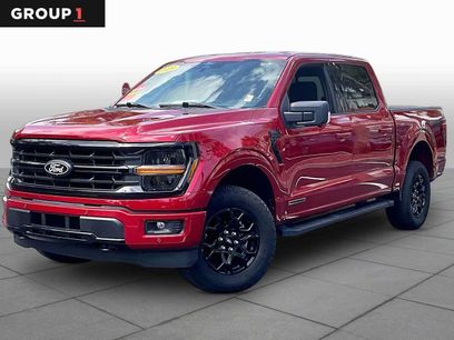 Used 2025 Ford F150 XLT w/ Equipment Group 302A MID