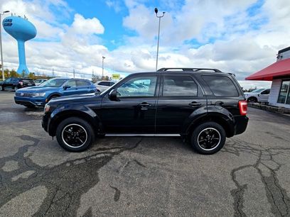 Used 2010 Ford Escape XLT