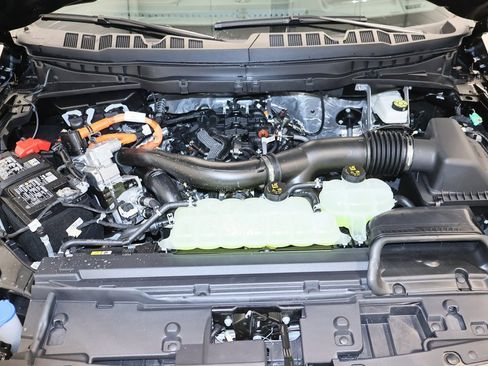 New 2025 Ford F150 King Ranch image 39