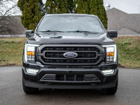 Used 2023 Ford F150 XLT w/ Equipment Group 302A High image 2