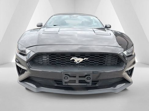 Used 2023 Ford Mustang Premium RWD image 2