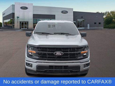 Used 2025 Ford F150 XLT w/ Equipment Group 302A MID image 3