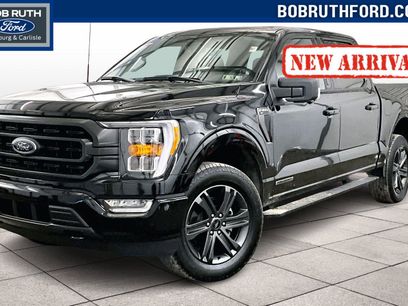 Used 2023 Ford F150 XLT w/ Equipment Group 302A High