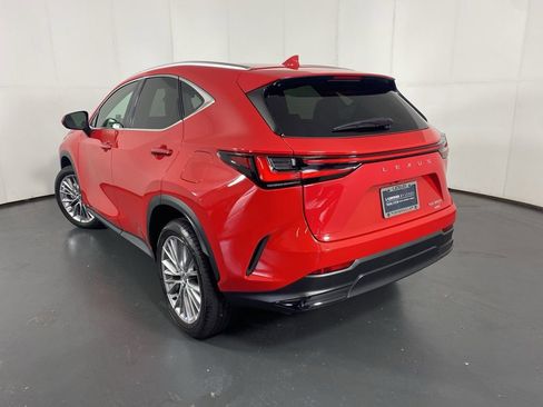 Certified 2025 Lexus NX 350h AWD w/ Cold Area Package image 6