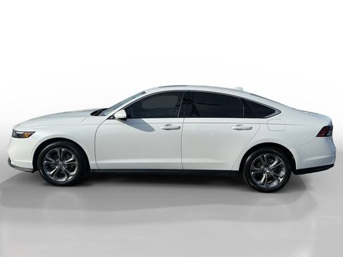 Certified 2024 Honda Accord EX image 2