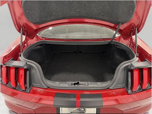 Certified 2022 Ford Mustang GT w/ Equipment Group 301A RWD image 15
