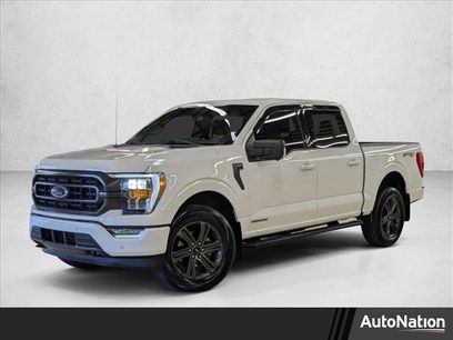 Used 2023 Ford F150 XLT w/ Equipment Group 302A High