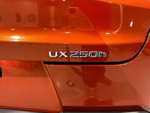 Used 2019 Lexus UX 250h w/ Premium Package AWD/4WD image 22