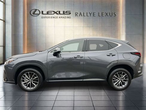 Used 2025 Lexus NX 350 AWD w/ Cold Area Package image 4