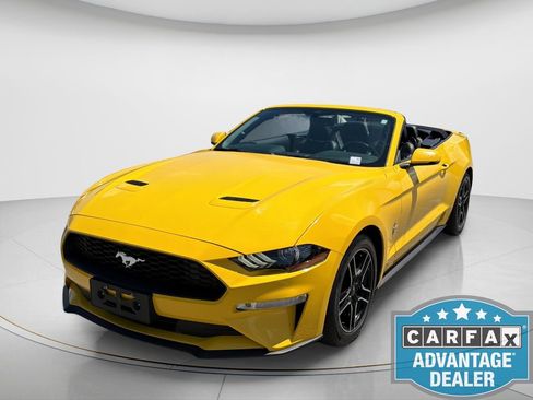 Used 2018 Ford Mustang Premium w/ Equipment Group 201A RWD image 2