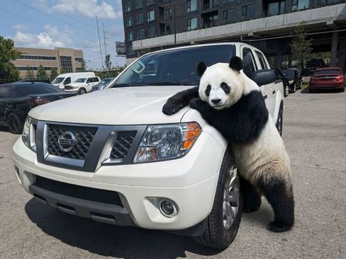 Used 2021 Nissan Frontier SV RWD image 1