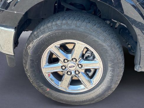 Used 2025 Ford F150 XLT w/ Equipment Group 301A Standard AWD/4WD image 5
