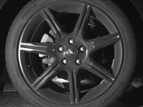 Used 2019 Ford Mustang Coupe w/ Equipment Group 101A image 15