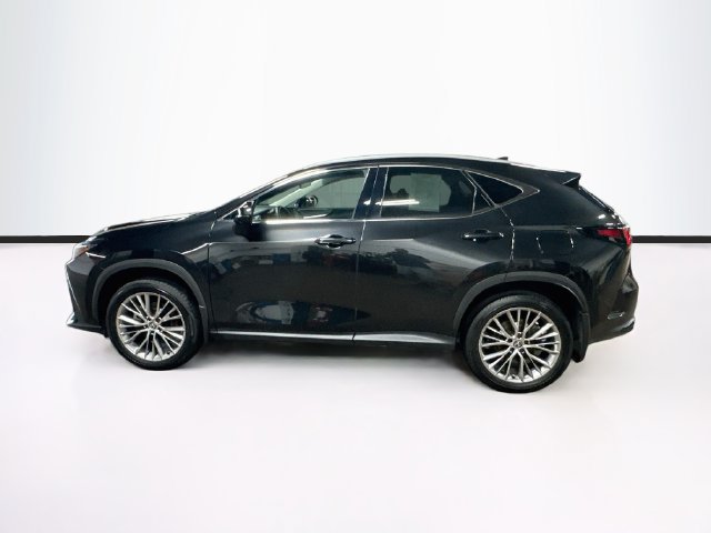Used 2025 Lexus NX 350 AWD w/ Accessory Package (2T) image 4
