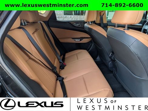 Certified 2025 Lexus NX 350h AWD w/ Cold Area Package image 7