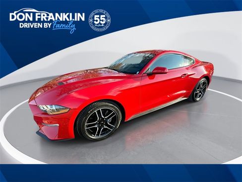 Used 2019 Ford Mustang Premium w/ Equipment Group 101A image 1