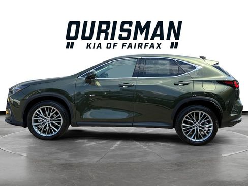 Used 2025 Lexus NX 350h AWD w/ Accessory Package (2T) image 3