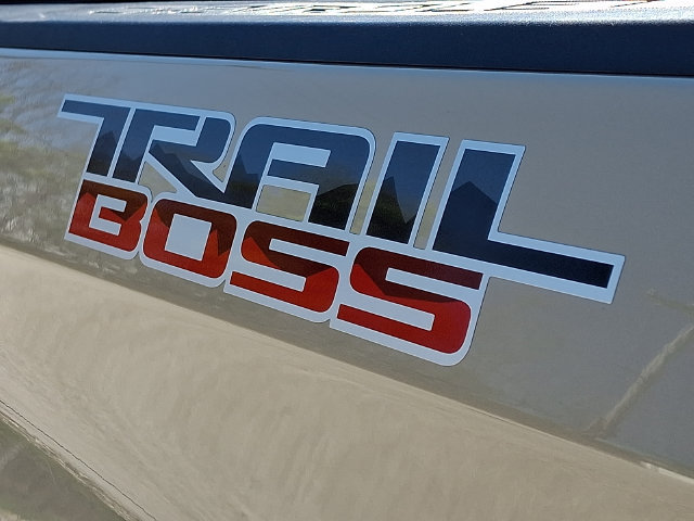 Used 2022 Chevrolet Silverado 1500 Custom Trail Boss w/ LPO, Dark Essentials Package AWD/4WD image 30