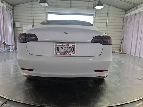 Used 2019 Tesla Model 3 Standard Range image 6