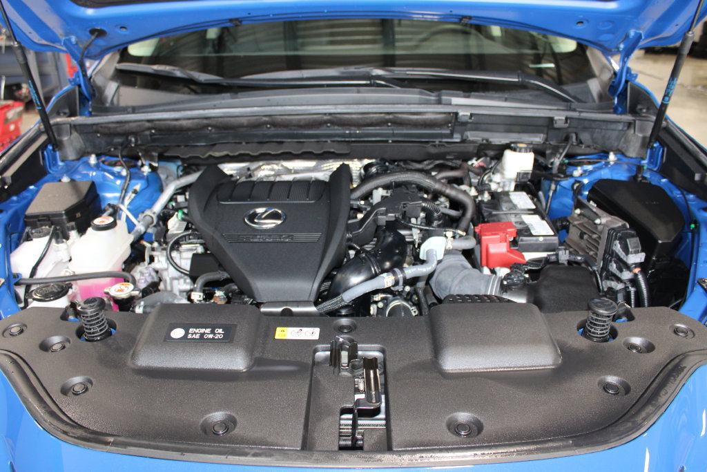 Used 2024 Lexus NX 350 AWD w/ Cold Area Package image 10