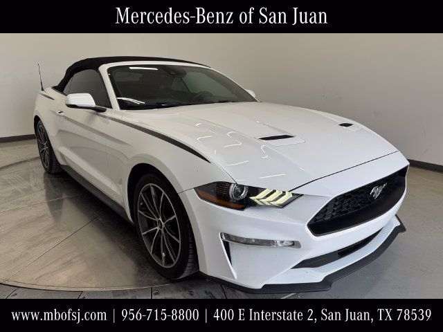 Used 2019 Ford Mustang Premium w/ Equipment Group 201A RWD image 1