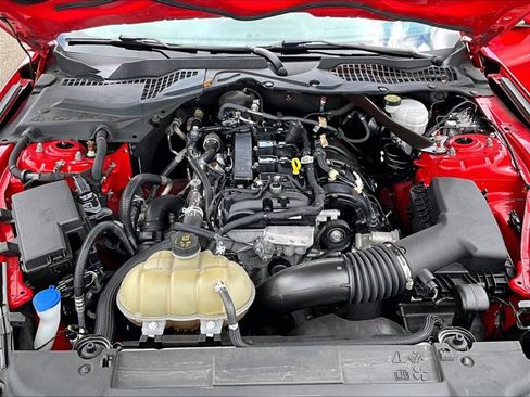 Used 2022 Ford Mustang Premium RWD image 11